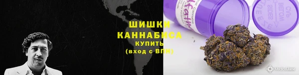 индика Лиски