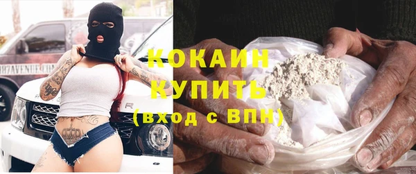 индика Лиски