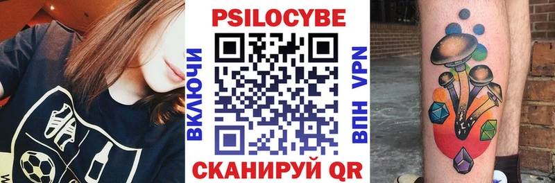 Галлюциногенные грибы Psilocybine cubensis  цены   Кремёнки 